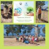 Πράσινος Ιούνιος: Καθαρισμός της ακτής και δεντροφύτευση από το 4ο Δημ. Σχολείο Ναυπλίου