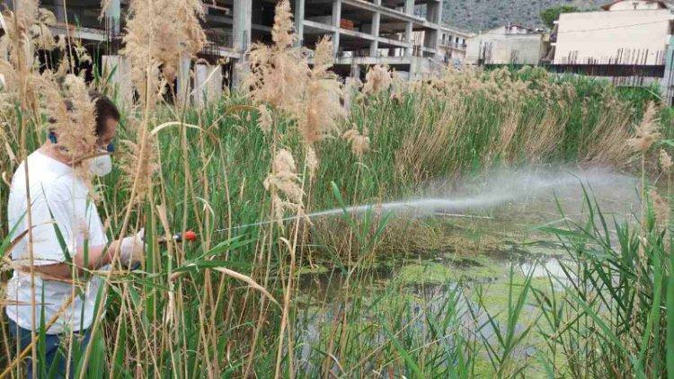 Συνεχίζεται το πρόγραμμα καταπολέμησης κουνουπιών στο Δήμο Ναυπλιέων